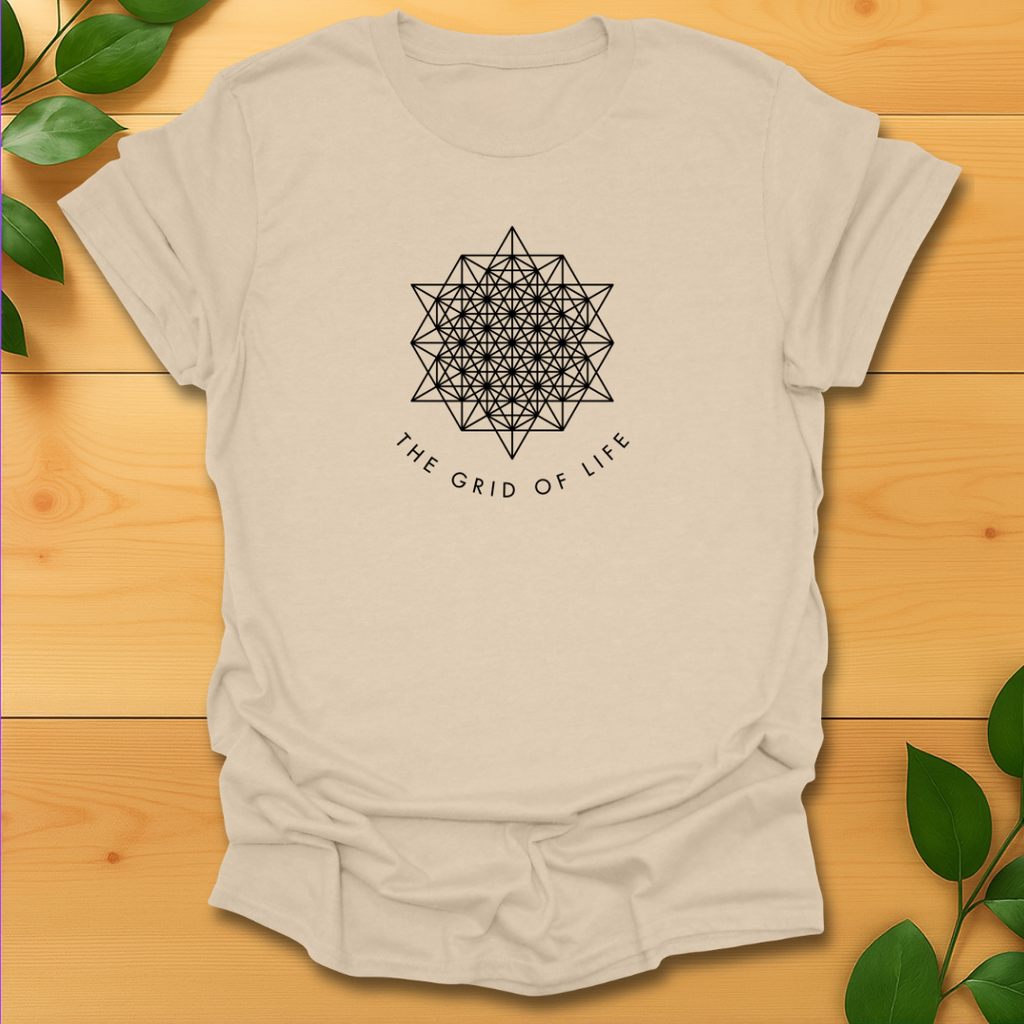 The grid of life T-shirt