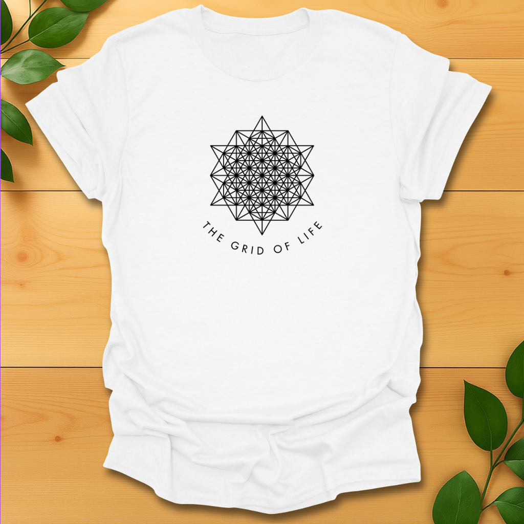 The grid of life T-shirt
